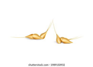 Granos de trigo maduros.
Elemento de diseño para productos orgánicos, panadería, agricultura.
Aislado sobre fondo blanco.
Ilustración vectorial.
