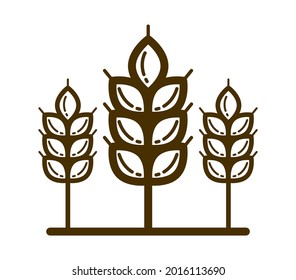 Ripe wheat spike vector linear icon isolated on white background, design element for emblem or logo creation for agriculture or healthy food theme.
