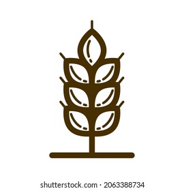 Icono lineal del vector de espiga de trigo maduro aislado en fondo blanco, elemento de diseño para la creación de emblema o logotipo para la agricultura o tema de alimentación saludable.