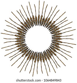 Ripe Wheat Spikelets Circle Card. Round Sun Shape Wreath of Malt with Space for Text. Farm Harvest Template. Realistic Hand Drawn Illustration. Savoyar Doodle Style.