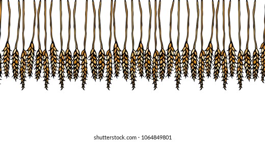 Ripe Wheat Spikelets Endless Brush. Border Ribbon of Malt with Space for Text. Farm Harvest Template. Realistic Hand Drawn Illustration. Savoyar Doodle Style.