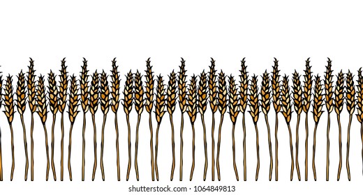 Ripe Wheat Spikelets Endless Brush. Border Ribbon of Malt with Space for Text. Farm Harvest Template. Realistic Hand Drawn Illustration. Savoyar Doodle Style.