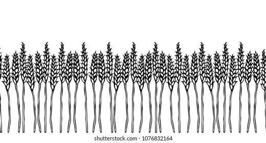 Ripe Wheat Spikelets Endless Brush. Border Ribbon of Malt with Space for Text. Farm Harvest Template. Realistic Hand Drawn Illustration. Savoyar Doodle Style.