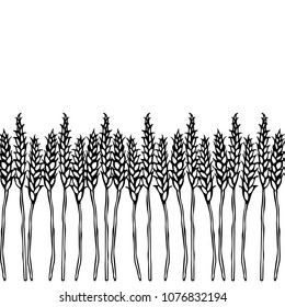 Ripe Wheat Spikelets Endless Brush. Border Ribbon of Malt with Space for Text. Farm Harvest Template. Realistic Hand Drawn Illustration. Savoyar Doodle Style.