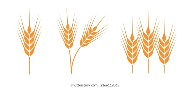 Ripe wheat symbol vector icon