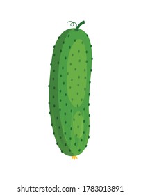 ripe whole cucumber isolated on white background, vector flat illustration, vegetarian food