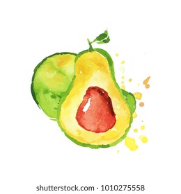 Ripe whole and half of avocado with bone. Tropical hand drawn fruit. Colorful watercolor painting. Natural vegetarian nutrition. Vector design for label or emblem