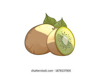 Ripe whole kiwi fruit and half kiwi fruit vector Illustration on white Background
