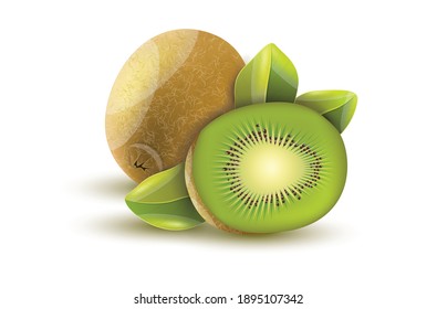 Ripe whole kiwi fruit and half kiwi fruit with leaf Vector Illustration on white Background