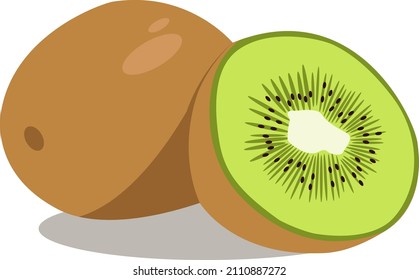 Ripe whole kiwi fruit and half kiwi fruit isolated on white background. Chinese gooseberry half cross section flat color vector icon for food apps and websites
