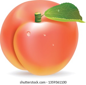 Ripe whole peach fruit with leaf isolated on white background. Realistic vector illustration. - Vector