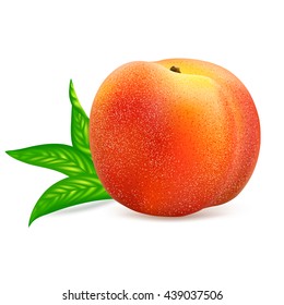 Ripe whole peach fruit with leaf isolated on white background. Realistic vector illustration.