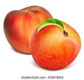 Ripe whole peaches. Fully editable handmade mesh. Vector illustration.