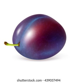 Ripe whole plum fruit isolated on white background. Realistic vector illustration.