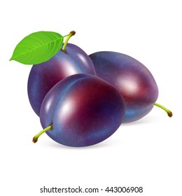 Ripe whole plums fruit with leaves isolated on white background. Realistic vector illustration.