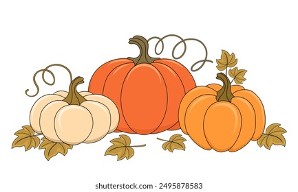 Ripe whole pumpkins flat vector illustration, decorative elements for design, autumn harvest and gardening concept.