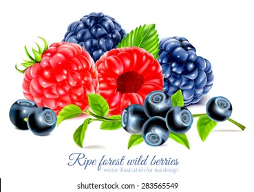 Ripe wild berries for tea pack design. Vector illustration