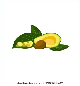 Ripe yellow avocado cut with leaves and seeds. Illustration vector design