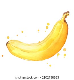 ripe yellow banana watercolor ilustration