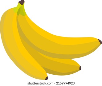 ripe yellow bananas on white background, banana fruit isolated on white, vector illustration