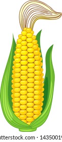Ripe yellow corn ear with green husk and styles (silks) isolated on white background