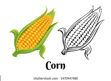 Ripe yellow corn with green leaves color illustration and black and white outline icon. Fresh vegetable in cartoon simple flat style.