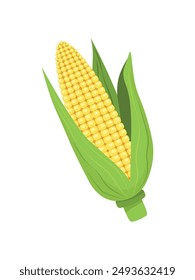 Ripe yellow corn with green leaves isolated on transparent background. Vector illustration