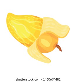 Ripe yellow mango with peel. Vector illustration on white background.