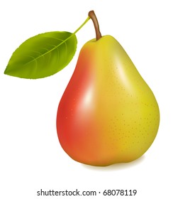 Ripe yellow pear with green leaf. Bector illustration