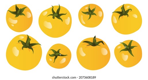 Ripe yellow tomatoes of various sizes. Realistic design. Seasonal vegetables. 