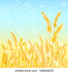 Ripe Yellow Wheat Ears on Light Cyan Blue Sky. Vector Agricultural Illustration