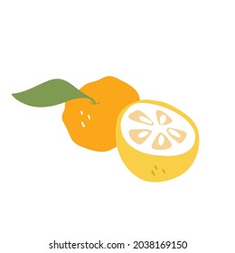 Ripe yuzu fruit. Cartoon illustration of a yellow fruit on a white isolated background. Hand-drawn organic food products. Sour citrus fruit from Asia. The concept of healthy eating.