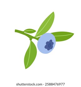 Ripe,colorful berries of wild blueberries with green leaves.Vector graphics.
