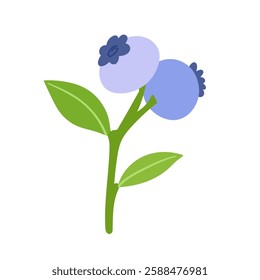 Ripe,colorful berries of wild blueberries with green leaves.Vector graphics.
