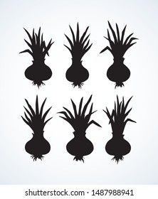 Ripen eco raw fresh common bulb leek fruitful pictogram isolated on white backdrop. Dark black ink hand drawn sign logo sketch in art contour print style. Closeup view with space for text