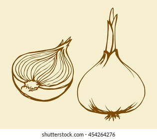 Ripen raw fresh common bulb leek isolated on white backdrop. Freehand outline ink hand drawn picture sketchy in art scribble style pen on paper. Closeup view with space for text