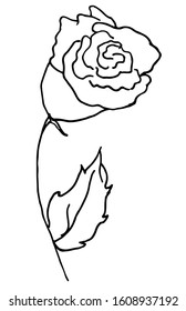 A ripened rose bud with a leaf, drawn in simple lines by a black pen on a white background. Gift to women and girls for a romantic meeting, date. Simple illustration of a waiting card, logo, print. 