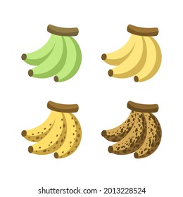 Ripening stages of bananas icon set. Banana ripeness color unripe to overripe. Fruit infographic clipart element vector illustration.