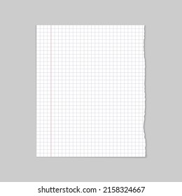 Ripped blank white line school paper, Notepad background
