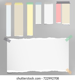 Ripped colorful note strips, notebook, copybook paper sheet stuck on gray background.