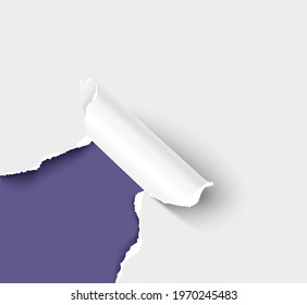 Ripped corner of paper realistic vector illustration. Rip paper effect