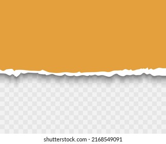 Ripped edges torn paper sheet. Realistic vector paper texture. Paper template for header, banner, poster