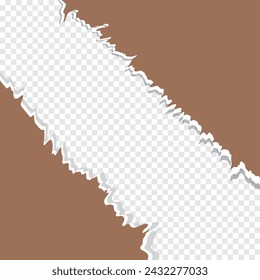 Ripped edges torn paper sheet. Realistic vector paper texture. Paper template for header, banner, poster, eps10