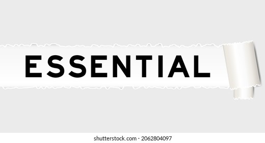 Ripped gray paper background that have word essential under torn part