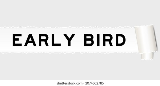 Ripped gray paper background that have word early bird under torn part