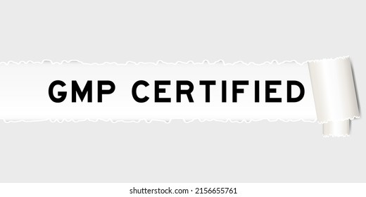 Fondo de papel gris extraído que tiene la palabra GMP (buena práctica de fabricación) certificada en parte desgarrada