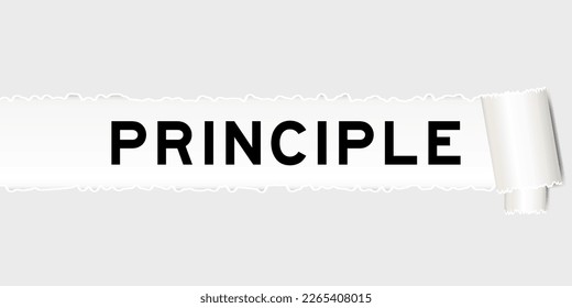 Ripped gray paper background that have word principle under torn part