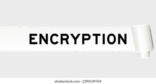 Ripped gray paper background that have word encryption under torn part