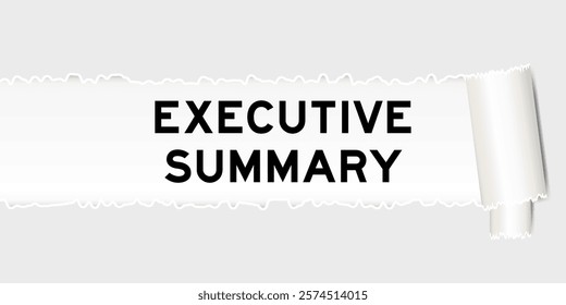 Ripped gray paper background that have word executive summary under torn part