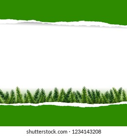 Ripped Green Paper With Furtree With Gradient Mesh, Vector Illustration